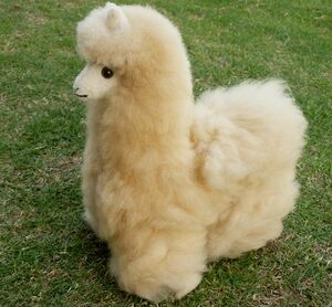  soft toy large B2 baby alpaca fur pretty alpaca Rya ma Anne te spec Roo soft beautiful in ka pretty foru Claw re commodity ....