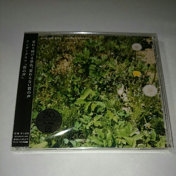 君の声 / アンダーグラフ