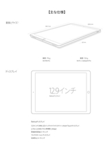 iPad Pro with big carrying bag!!_画像2