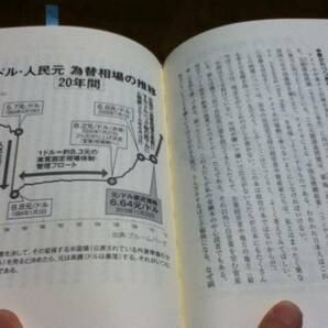 日米 地獄へ道連れ経済 [単行本] 副島隆彦 (著)の画像3