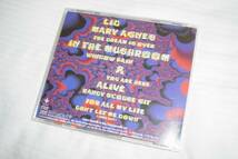 LID 「IN THE MUSHROOM」 TROUBLE、ANATHEMA関連 ストーナー・ロック系名盤_画像2