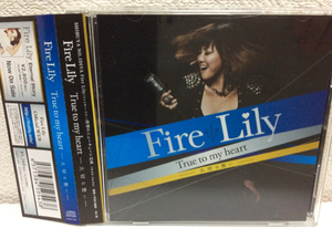 中古CD★Fire Lily/True to my heart 大切な思い★