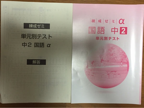 2025年最新】Yahoo!オークション -育伸社 テストの中古品・新品