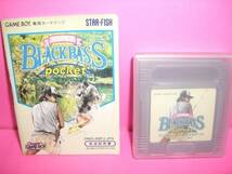 ☆中古☆　ＧＢ　【 スーパーブラックバスポケット 】【即決】_画像2