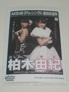 未開封　AKB48 ラブラドールレトリバー 劇場盤 生写真　柏木由紀