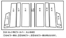 シルバーカーボンバージョンもあります。