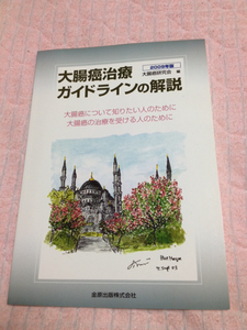 大腸癌治療ガイドラインの解説 2009年版