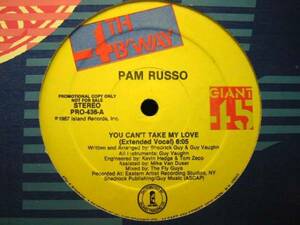 □試聴□Pam Russo - You Can't Take My Love/Blaze/Disco 12□