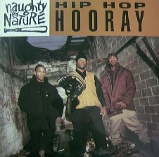 $ NAUGHTY BY NATURE / HIP HOP HOORAY (TBI 009) 2枚組レコード 【注意】C2 (Sunship Groove Mix)←プレスミスで全盤針飛び　