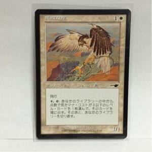 MAGIC The Gathering クリーチャー レベル・鳥 果敢な隼