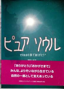 ピュアソウル―そのままの君でありがとう 鎌田 光世 (著) LA1