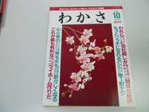 ●わかさ●創刊号●199010●人生を豊かにする生き方雑誌会社興_画像1