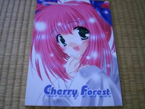 SONIC WINTER「Cherry Forest」Snow・アトラク＝ナクア