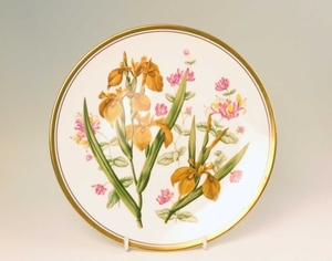  Spode = gorgeous plate 24 * Garden.F = No.2