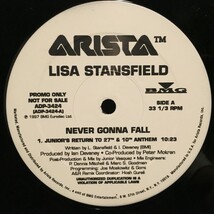 Lisa Stansfield / Never Gonna Fall_画像1