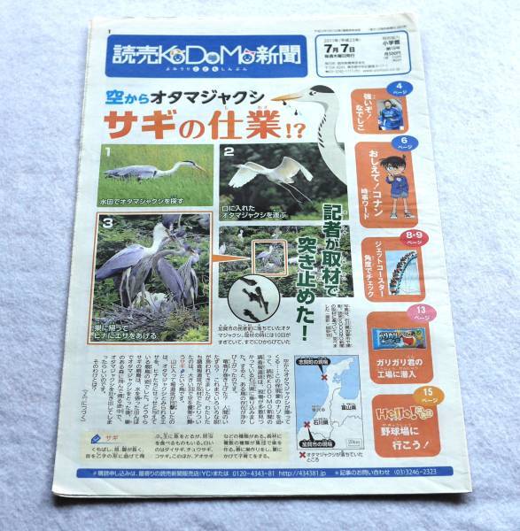 ★送料無料★読売KODOMO新聞2011年7月7日第19号沢穂希★ミ