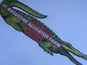 ▽▼64202▼▽＜LE*トラベルステッカー＞AMERICAN BYWAYS*ST.AUGUSTINE ALLIGATOR FARM FLOLIDA