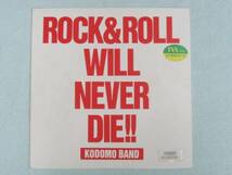 KODOMO BAND/ROCK&ROLL WILL NEVER DIE　LP 子供バンド　中古品_画像1