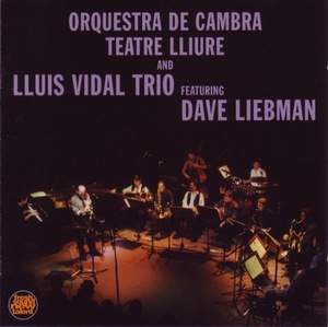 CD Orch. D. C. T, Lliure & Lluis Vidal Trio, Dave Liebman