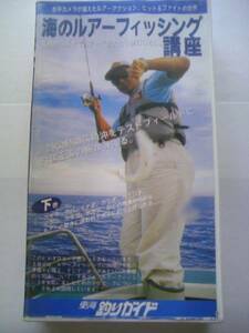  beautiful goods .. regular sea sea. lure fishing course top and bottom volume 2 pcs set 