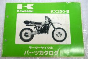 パーツカタログ KX250-B KX250B-00001～ カワサキ kawasaki