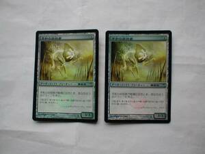 バイン　MTG 平和の徘徊者/Peace Strider foil 日本語4枚