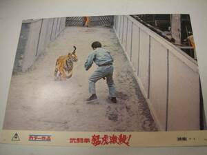 95992倉田保昭『武闘拳猛虎激殺』ロビカド