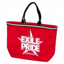 AA314☆2013 ツアーグッツ EXILE PRIDE エコバック(大)☆1