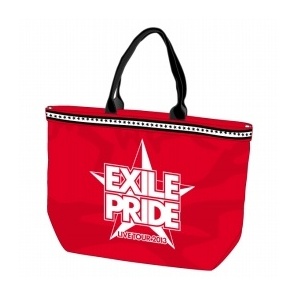 AA314☆2013 ツアーグッツ EXILE PRIDE エコバック(大)☆1
