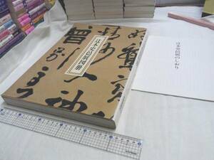 0012055 辻本史邑展図冊 日本書芸院 産経新聞社 平成5年 246頁