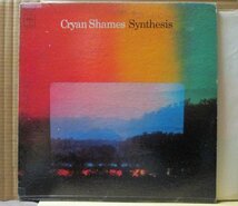 CRYAN DHAMES/SYNTHESIS//ドラムブレイク_画像1