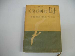 ●小説母は叫び泣く●カーライル高瀬毅●新潮社S15●即決