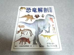  dinosaur anatomy illustrated reference book David Ran bar to( work ) out of print popular commodity *