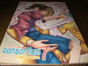 * Gundam SEED журнал узкого круга литераторов consortium7/. туман дом .Q289