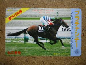 I1639・プラチナシチー　競馬 テレカ