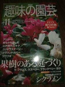 *NHK hobby. gardening 2000 year 11 month cyclamen persicum a dragon m farfugium japonicum D