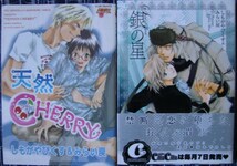 匿名配送　送料込み　しもがやぴくす＆みらい戻　【　天然ＣＨＥＲＲＹ　】【　銀の星　】　BL　即決_画像1