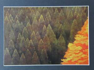 Art hand Auction Kaii Higashiyama, Valley of Autumn Leaves, Deluxe edition, Large, Signed on the plate, New with frame, Painting, Oil painting, Nature, Landscape painting