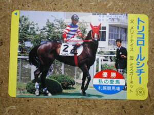 I1307・トリコロールシチー　競馬　テレカ