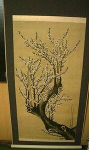 Art hand Auction d◆▼♪海★掛軸【梅花図】無銘･肉筆, 絵画, 日本画, 花鳥, 鳥獣