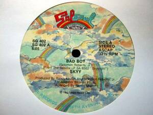 □試聴□Skyy - Bad Boy/Dance Classic/Disco 12□