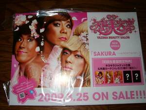 [ pop POP] arrow island beauty ./SAKURA- Hal .u tower nebada- not for sale!