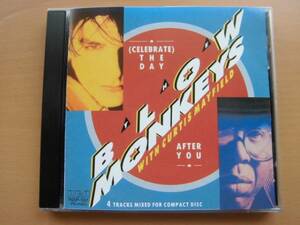 国内盤/Blow Monkeys/The Day After You/curtis mayfield