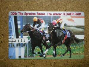 I1652* flower park horse racing telephone card 