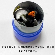 フルタ＆海洋堂 チョコエッグ 日本の動物コレクション 第5弾 127：オオワシ 鳥 食玩 おまけ フィギュア_画像2