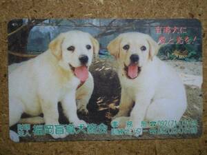 tt9-272・福岡県盲導犬協会　犬　テレカ