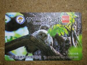 tt1-133* lottery ezo owl telephone card 