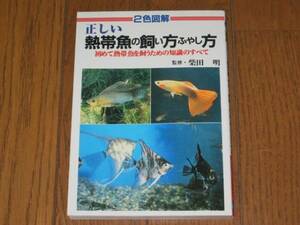  regular .. tropical fish. .. person ... person Shibata Akira ..