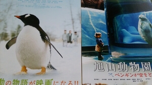 旭山動物園物語 ペンギンが空をとぶ●2種◆西田敏行/中村靖日★映画チラシ
