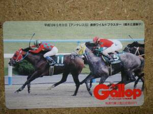 I2137・Gallop　ワイルドプラスター　競馬　テレカ